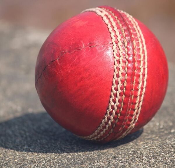 pak vs sa cricket history