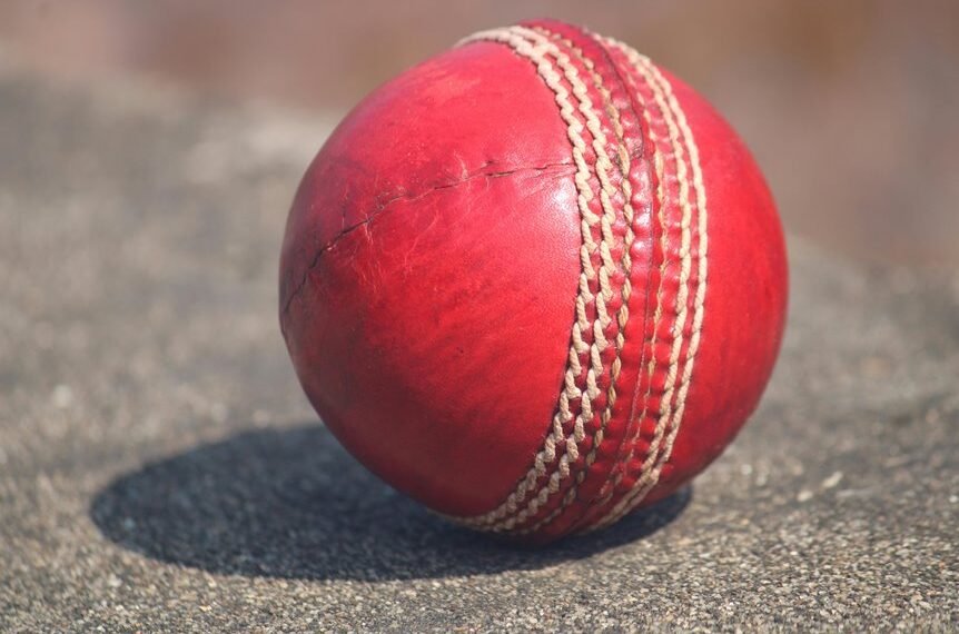 pak vs sa cricket history