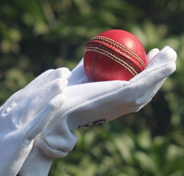 thrilling pakistan south africa matches