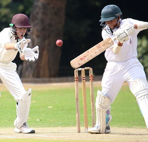 cricket strategy for victory