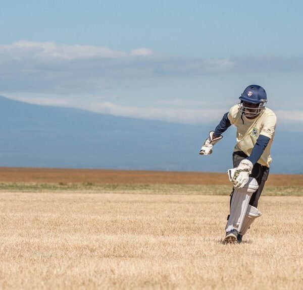 cricket trends and analysis