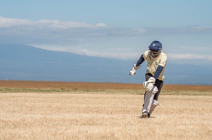 cricket trends and analysis